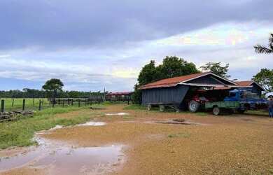 Imagem 15: Fazenda à 27km de Porto Velho - BR 319 - 773 hectares