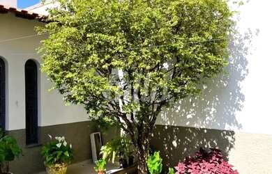 Imagem 3: Comercial/Industrial 4 quartos à venda no a Vila Bastos