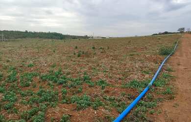 Imagem 2: VENDA/TROCA TERRENO COM 4 HECTARES, BEIRA RIO