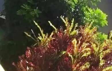 Imagem: O apartamento possui 1 Dormitório, Acomodam 4 pessoas, 1 Vaga