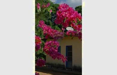 Imagem 6: Fazenda a venda com 86 hectares em Unaí, Minas Gerais