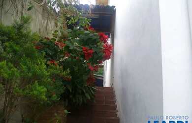 Imagem 15: CASA ASSOBRADADA - VILA MADALENA - SP