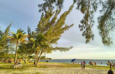 Imagem: A casa possui 5 Dormitórios, 3 Banheiros, 5 Vagas na garagem