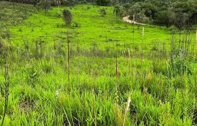 Imagem 14: Últimos terrenos de 600m² em Atibaia, futuro residencial fechado. Garanta...