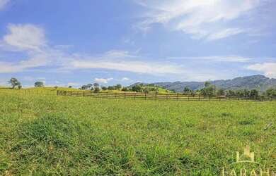 Imagem: A fazenda possui 32m² de Área e está localizado em Sanclerlândia
