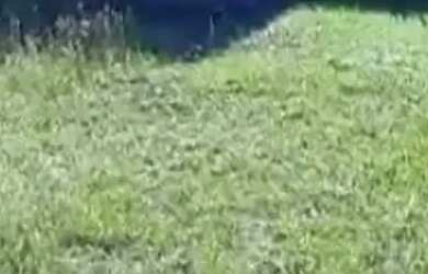 Imagem: O terreno possui 403m² de Área e está localizado em Centenario