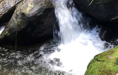Imagem: O terreno possui 4.000m² de Área e está localizado em Centro