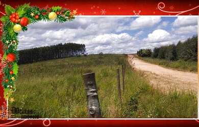 Imagem 1: Sitio a venda em Fernão/SP 12 Hectares para Pastagem, Feno ou Café por...