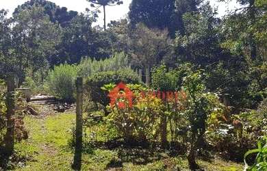 Imagem 9: Área à venda, 134645 m² - Tanguá - Almirante Tamandaré/PR