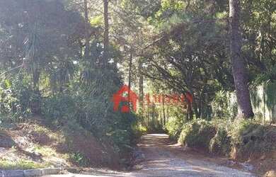 Imagem 10: Área à venda, 134645 m² - Tanguá - Almirante Tamandaré/PR