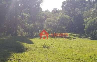 Imagem 4: Área à venda, 134645 m² - Tanguá - Almirante Tamandaré/PR