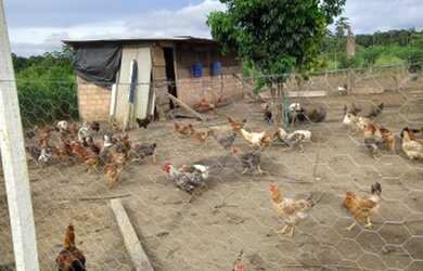 Imagem 3: Venda motivo viagem. 130m² de Área