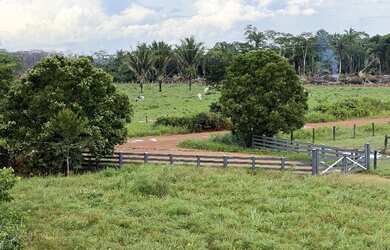 Imagem 9: Fazenda à 27km de Porto Velho - BR 319 - 773 hectares
