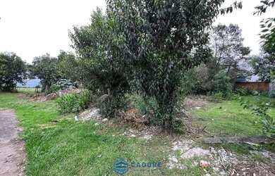 Imagem 13: Terreno a venda bairro bela vista com 899m²