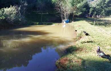 Imagem 6: Sítio / Chácara para Venda em Nova Petrópolis, Fazenda Pirajá, 2 dormitórios,...