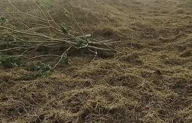 Imagem 9: Terreno Smart City Salto 175m2