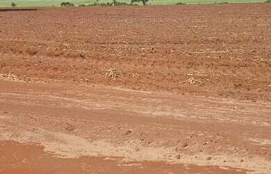 Imagem 3: Fazenda de cana. 