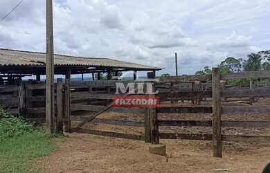 Imagem 3: Fazenda 103 Alqueires 500 Hectares Piracanjuba - GO