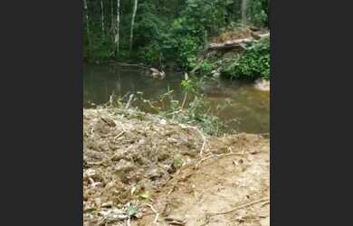 Imagem 10: VENDO FAZENDA 1200 hec BRUTA REGIÃO DE AMAJARI RORAIMA 6100