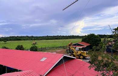 Imagem 16: Fazenda à 27km de Porto Velho - BR 319 - 773 hectares