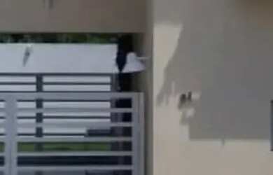 Imagem: A casa em condomínio possui 3 Dormitórios, 4 Banheiros, 2