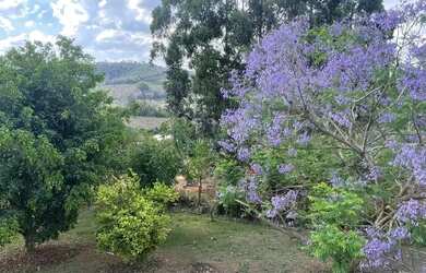 Imagem 12: Oportunidade em Carmo da Cachoeira MG