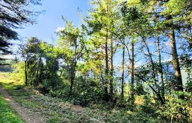 Imagem: A fazenda possui 5.715m² de Área e está localizado em Nova