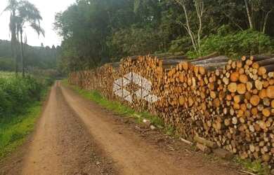 Imagem 7: Sitio em Linha Olinda. 120m² de Área
