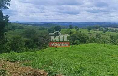 Imagem 8: Fazenda 103 Alqueires 500 Hectares Piracanjuba - GO