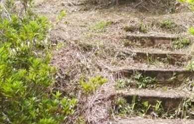 Imagem 13: Chacara paraiso apenas 147 mil reais