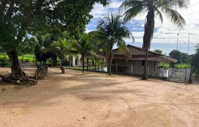 Imagem 7: FAZENDA EM BURITIZEIRO MG NA BEIRA DO RIO SÃO FRANCISCO FORMADA E COM...