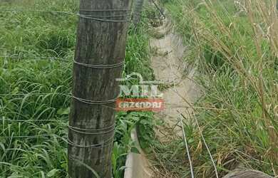 Imagem 13: Fazenda 103 Alqueires 500 Hectares Piracanjuba - GO