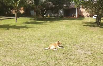 Imagem: A chácara possui 2000m² de Área e está localizado em Tarumã