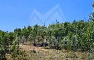 Imagem: A fazenda possui 60m² de Área e está localizado em Centro