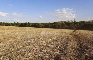 Imagem 10: Fazenda à venda, 968000 m² por R$ 13.500.000,00 - Zona Rural - Rio Verde/GO