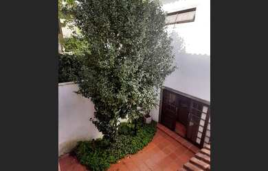 Imagem 11: CHARMOSA CASA NO JARDIM PAULISTANO