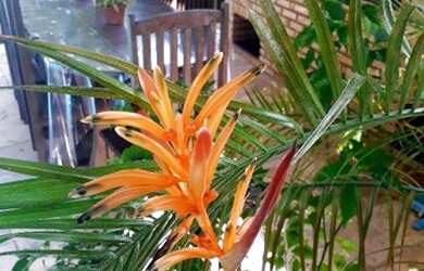 Imagem 5: Casa na Atalaia Nova para Temporada e Finais de Semana 12X CARTÃO DE...