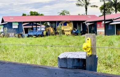 Imagem 1: Fazenda à 27km de Porto Velho - BR 319 - 773 hectares