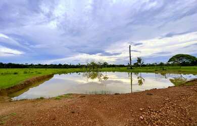 Imagem 4: Fazenda à 27km de Porto Velho - BR 319 - 773 hectares