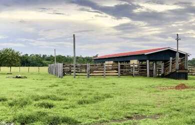 Imagem 5: Fazenda à 27km de Porto Velho - BR 319 - 773 hectares