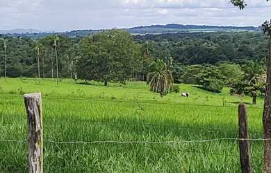 Imagem 4: Fazenda 80 alq. Em trindade 300 mil.p/ alq. Pega 40% aptos Goiânia 24 milhoes