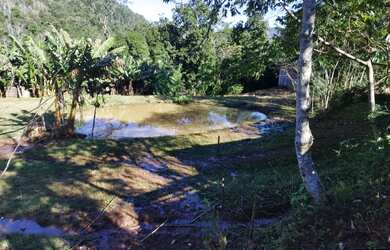 Imagem 8: Sítio / Chácara para Venda em Nova Petrópolis, Fazenda Pirajá, 2 dormitórios,...