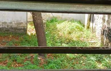 Imagem 7: Casa a venda no centro de Campina Grande PB