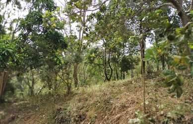 Imagem 10: Chácara em Aragoiania. 