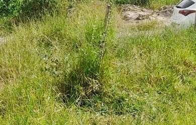 Imagem 3: Diamantina. 490m² de Área