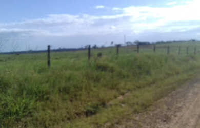 Imagem 10: 2.100 hectares a 8 mil reais o hectare com 70 de abertura em pasto