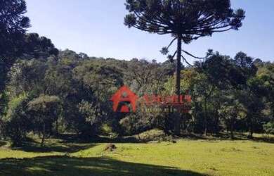 Imagem 3: Área à venda, 134645 m² - Tanguá - Almirante Tamandaré/PR