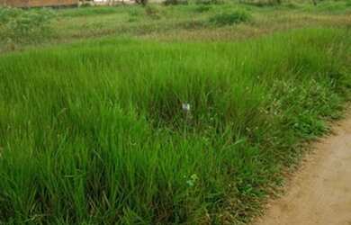 Imagem: O terreno possui 220m² de Área e está localizado em Humildes