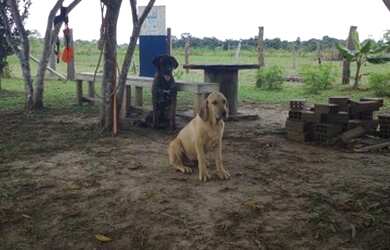 Imagem 5: Venda motivo viagem. 130m² de Área