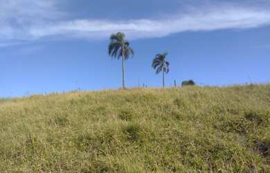 Imagem 10: Venha conferir meu terreno Aceito carro ou moto na negociação